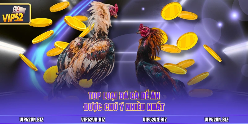 Top loại đá gà dễ ăn được chú ý nhiều nhất